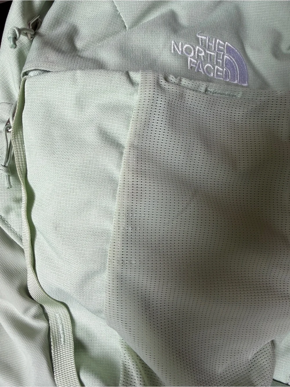 The North Face Mint Green Everyday Backpack
